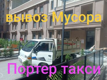 сибирская черно белая кошка: Вывоз мусора вывоз мусора Вывоз Мусора вывоз мусора Вывоз мусора