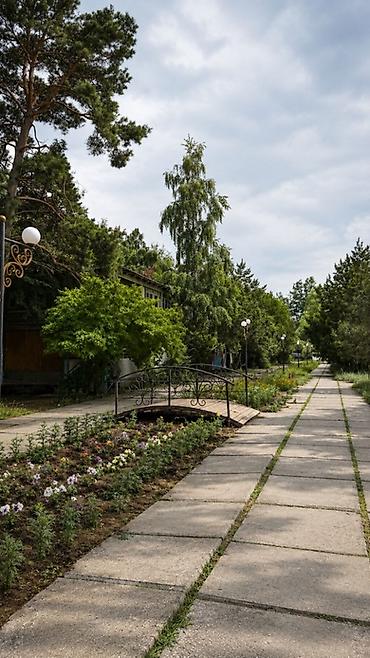 2 8: 🏖️ БОСТЕРИ! Сдаются чистые номера в (Золотые Пески) 📍 Первая линия — 10