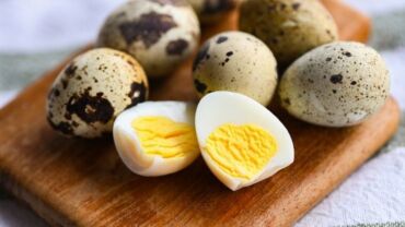 heyvan bazari inekler: Bildirçin yumurtasının satışı.10 ədədi 2 manata(öncədən sifarişlə)