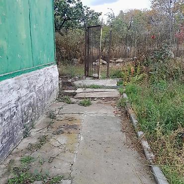 Продажа дач: Дачный участок с садовым домиком и плодовыми деревьями - Участок — 11