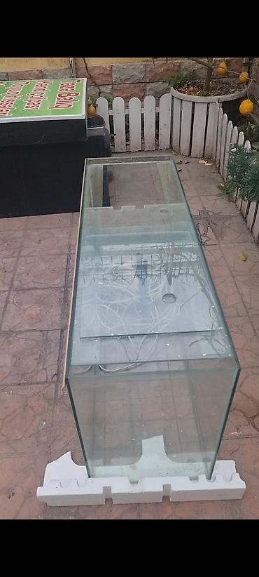 xani baliq: Şüşə akvarium komplekti - Material: qalın şüşə panellər, kənarlarda — 3