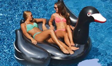 фотограф про: Огромный Надувной Лебедь и Пегас для Плавания+бесплатная доставка по
