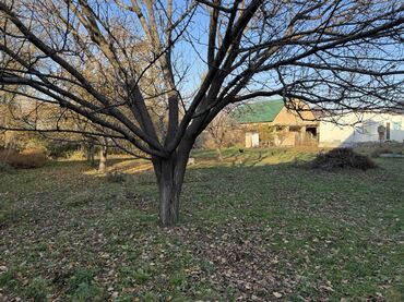 Продажа домов: Дом, 160 м², 5 комнат, Собственник at lalafo.kg — 7 Продажа домов: Дом, 160 м², 5 комнат, Собственник — 7