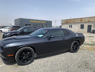 Dodge: Dodge Challenger: 2019 г., 3.6 л, Автомат, Бензин, Купе — 7