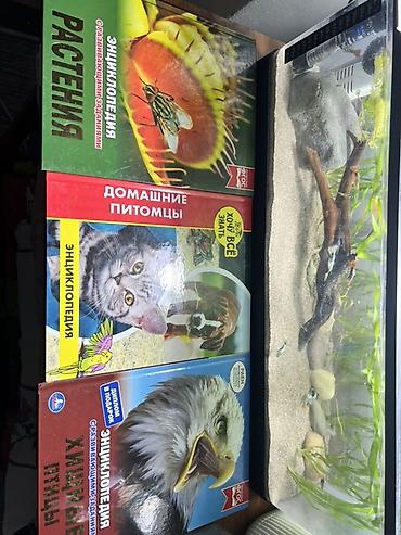 Спорт и хобби: 📚 ПРОДАЮ 3 КНИГИ ПРО ПРИРОДУ И ЖИВОТНЫХ! 🌿🐾🦅 🌱 Книга про растения — — 2