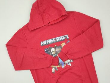 kombinezon dziecięcy jenot: Sweatshirt, 13 years, 152-158 cm, condition - Good