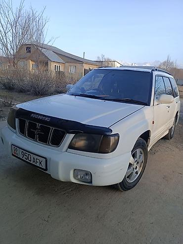 Subaru: Subaru Forester: 2001 г., 2 л, Автомат, Бензин, Универсал — 2