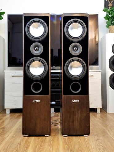 Zvučnici i stereo sistemi: Canton Ergo 670 DC podnostojeće Hi‑Fi zvučničke kutije – par - — 3