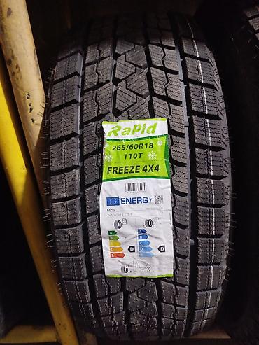 Rapid Freeze 4x4 — зимняя шина для внедорожников и кроссоверов