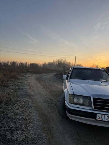 Mercedes-Benz: Mercedes-Benz W124: 1991 г., 2.9 л, Механика, Дизель, Седан — 8