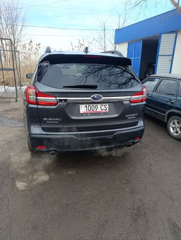 Subaru: Subaru Ascent: 2019 г., 2.4 л, Автомат, Бензин, Кроссовер — 2