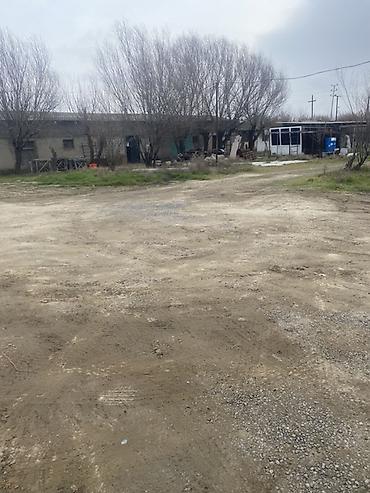 bina.az fotolar: Satışa uyğun təsərrüfat/istehsalat sahəsi - Tikili: Bir mərtəbəli — 9