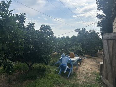 Torpaq sahələrinin satışı: 35 sot, Kənd təsərrüfatı, Mülkiyyətçi, Kupça (Çıxarış) — 7