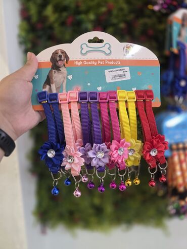 Xaltalar, qayışlar və tasmalar: Pişik və mini itlər üçün boyunbağılar. Taksilə çatdırılma xidmətimiz — 6