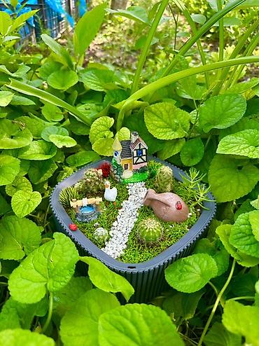 Bitkilər üçün dibçəklər: Miniatür sukulent/teraryum kompozisiyası – “Bağ evciyi” mövzulu - — 2
