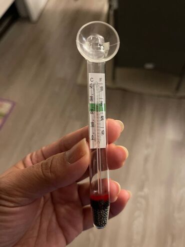 Ostali proizvodi za kuću: Zivin Stakleni Termometar inkubator — 27