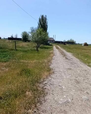 продаю участок петровка: 150 соток, Айыл чарба үчүн, Кызыл китеп, Техпаспорт, Сатып алуу-сатуу келишими