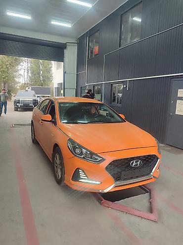 хадовой: Hyundai Sonata: 2020 г., 2 л, Автомат, Газ, Седан — 5