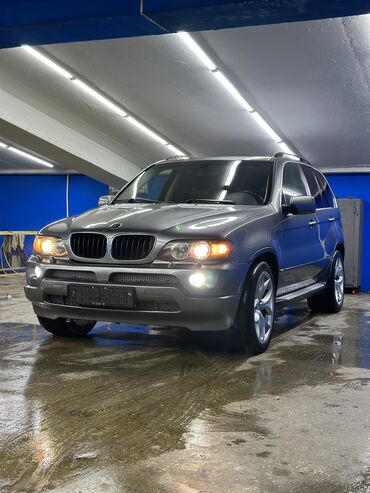 мишлен: BMW X5: 2003 г., 4.4 л, Автомат, Бензин, Кроссовер