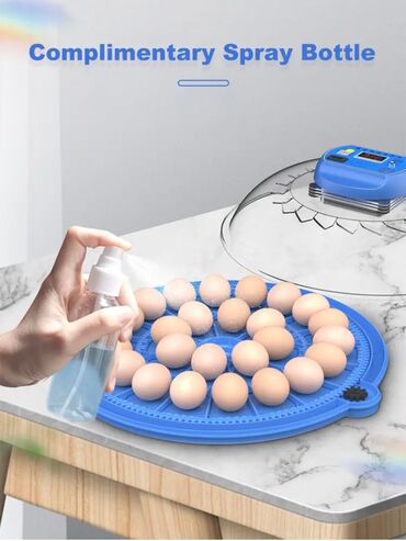 Oprema za kućne ljubimce: INKUBATOR Automatski nove generacije za 52 jaja 12v/220v — 13