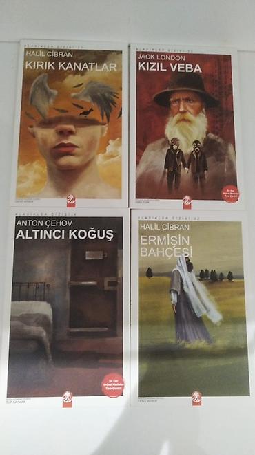 Bədii ədəbiyyat: Klassik və modern ədəbiyyatdan seçmə 16 kitabdan ibarətdir, tək-tək və — 4