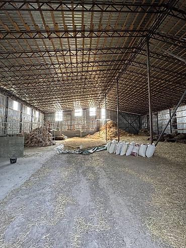 Продажа участков: 330 соток, Для сельского хозяйства, Договор дарения — 4