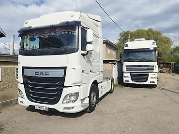 Тягачи: Тягач, DAF, 2014 г., Тентованный — 8