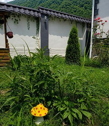 Bağ, çöl masa və oturacaq dəstləri: 🏡 Qəbələdə mərkəzdə dağ mənzərəli 8 nəfərlik sakit ərazidə yeni — 20