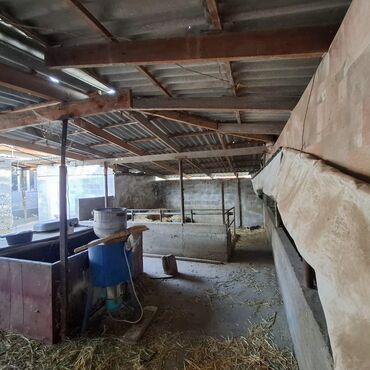 Продажа домов: Барачный, 45 м², 4 комнаты, Собственник, Евроремонт — 11