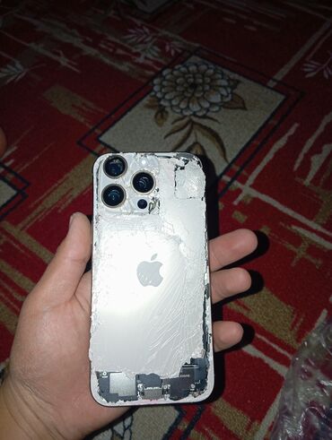 дом вещи: IPhone 16 Pro Max