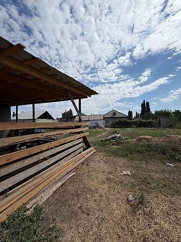 прадаю дом в кун туу: Продаётся дом с большим участком и хозяйственным двором Адрес — 3
