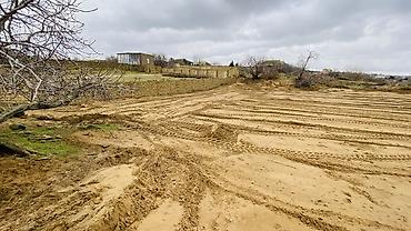 Torpaq sahələrinin satışı: Torpaq sahəsi - Təyinat: fərdi yaşayış evi, bağ evi və ya təsərrüfat — 10