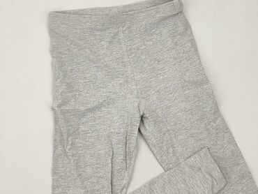 kurtka koszulowa dla dziewczynki: Leggings for kids, Zara, 14 years, 158/164, condition - Very good