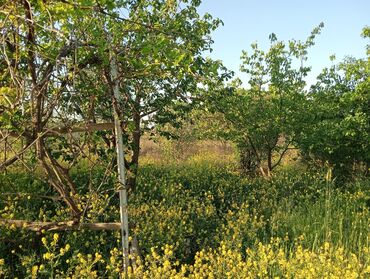 Həyət evləri və villaların satışı: Daş divarlı həyət evi - Təbii daşdan tikili, yüngül metal profilli dam — 5