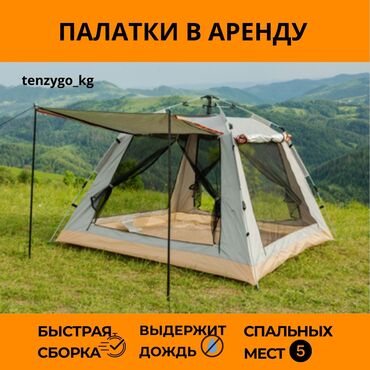 палатка взрослые: СДАЁТСЯ ПАЛАТКА В АРЕНДУ ~Лёгкая, удобная и компактная палатка