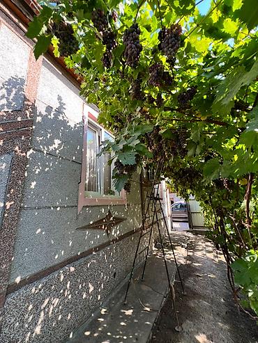 Продажа коттеджей и домов: 5 комнат, 85 м², 9 соток, Бишкек, Аламединский рынок / базар — 16