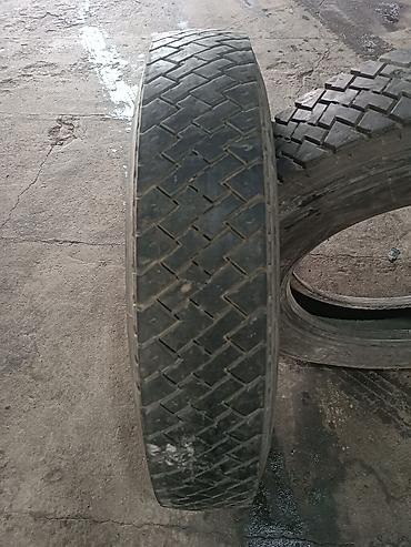 pasat b5: Шины R 22,5, Б/у, Пара, Грузовики/Автобусы, Pirelli — 2