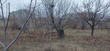 Torpaq sahələrinin satışı: 15 sot, Tikinti, Mülkiyyətçi, Kupça (Çıxarış), Bələdiyyə, Müqavilə — 13