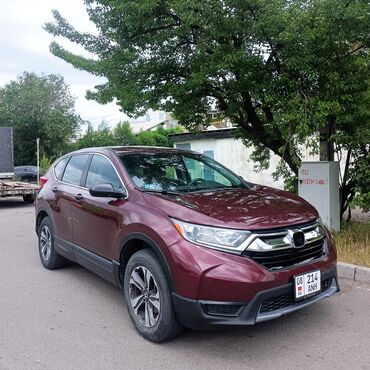 Honda: Honda CR-V: 2018 г., 2.4 л, Вариатор, Бензин, Внедорожник
