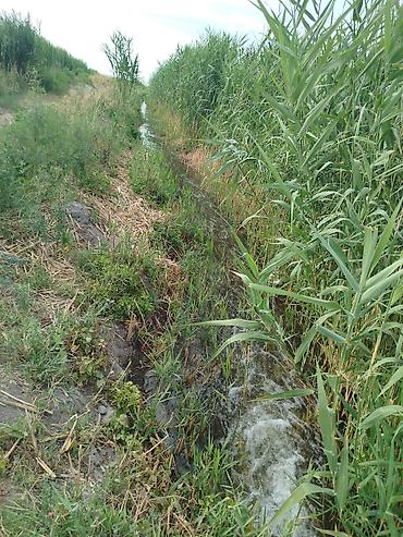 Продажа участков: 500 соток, Для сельского хозяйства, Красная книга — 8