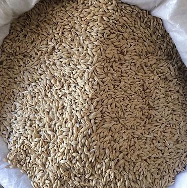 оптовые цены на продукты питания в бишкеке: Арпа сатылат срочно 2 тонна — 1