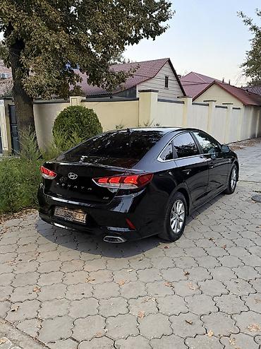 sonata 2012: Hyundai Sonata: 2019 г., 2 л, Автомат, Бензин, Седан — 5