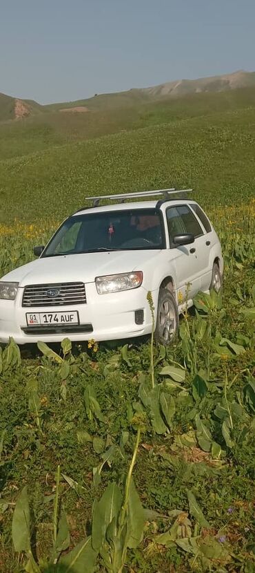 жол тандабас унаалар: Белый кроссовер Subaru Forester, оснащенный багажником на крыше