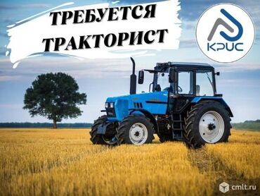 беларус трактор купить: Требуется тракторист на прес подборщик оплата хорошая желательно с