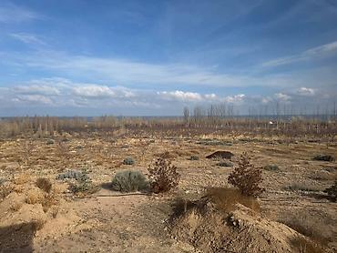 Посуточная аренда домов: Сдаю в аренду просторный дом с современной кухней-гостиной. - Кухня — 8