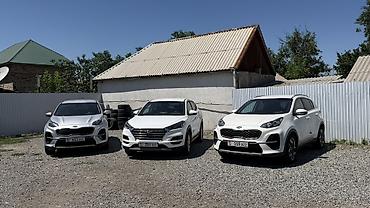 компь: Ижарага берем Kia K5 сатуу үчүн, | Банксыз бөлүп төлөө, Бензин — 5