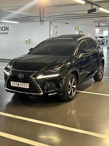 Lexus: Lexus NX: 2018 г., 2.5 л, Автомат, Гибрид, Кроссовер — 10