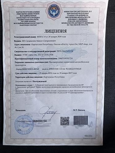 Аренда пассажирского буса: Пассажирский микроавтобус Mercedes-Benz Sprinter с туристическим — 10