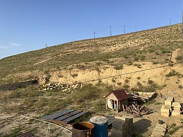 Torpaq sahələrinin satışı: 4 sot, Tikinti, Mülkiyyətçi, Bələdiyyə — 14