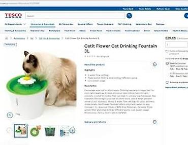 Oprema za kućne ljubimce: Catit Flower Cat Drinking Fountain – 3L - Fontana za mačke sa — 2